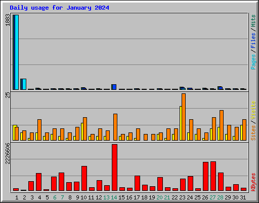 Daily usage for January 2024