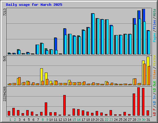 Daily usage for March 2025