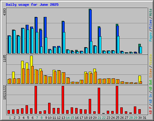 Daily usage for June 2025