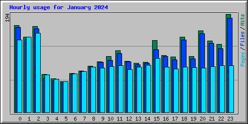 Hourly usage for January 2024