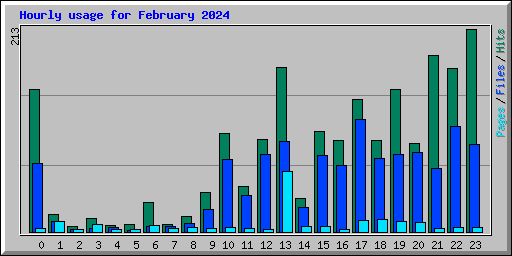Hourly usage for February 2024