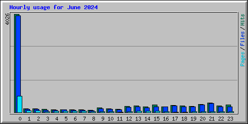 Hourly usage for June 2024