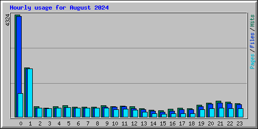 Hourly usage for August 2024