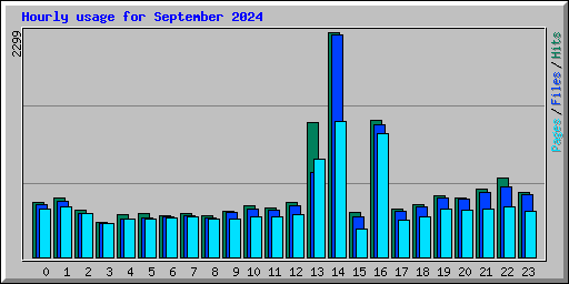 Hourly usage for September 2024