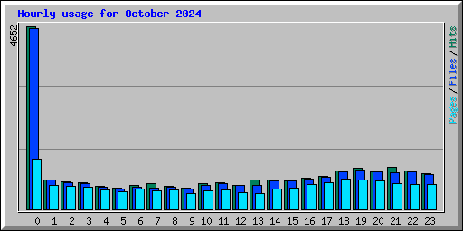 Hourly usage for October 2024