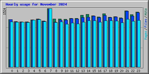Hourly usage for November 2024