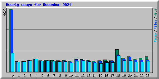 Hourly usage for December 2024