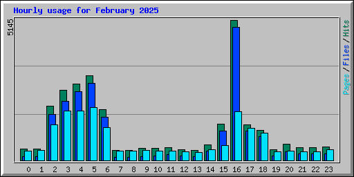 Hourly usage for February 2025