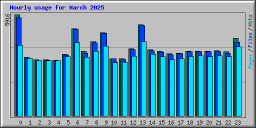 Hourly usage for March 2025