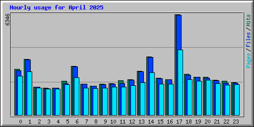 Hourly usage for April 2025