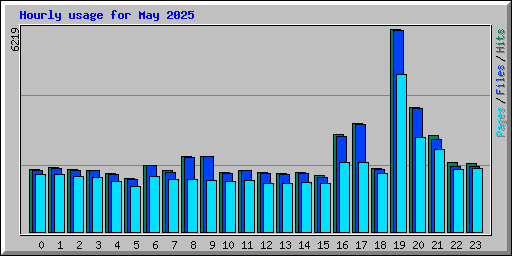 Hourly usage for May 2025