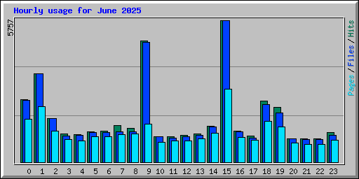 Hourly usage for June 2025