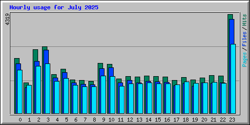 Hourly usage for July 2025
