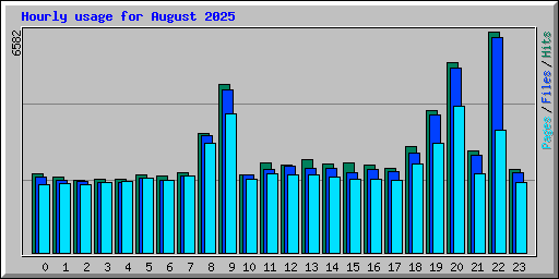 Hourly usage for August 2025