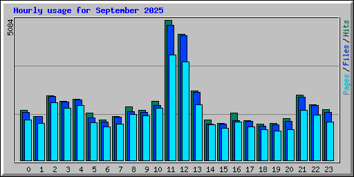Hourly usage for September 2025