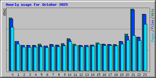 Hourly usage for October 2025