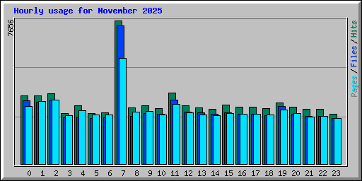 Hourly usage for November 2025