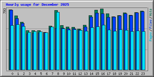 Hourly usage for December 2025