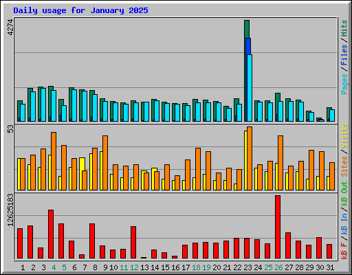Daily usage for January 2025