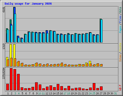 Daily usage for January 2026