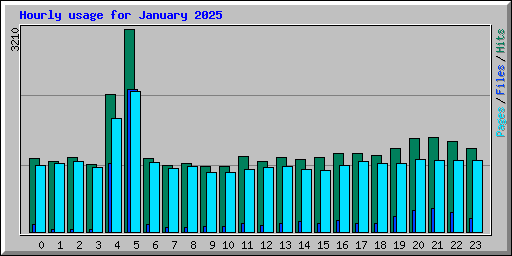 Hourly usage for January 2025