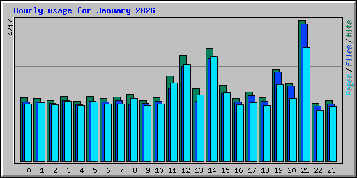 Hourly usage for January 2026