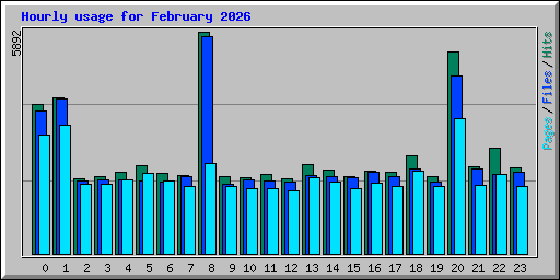 Hourly usage for February 2026