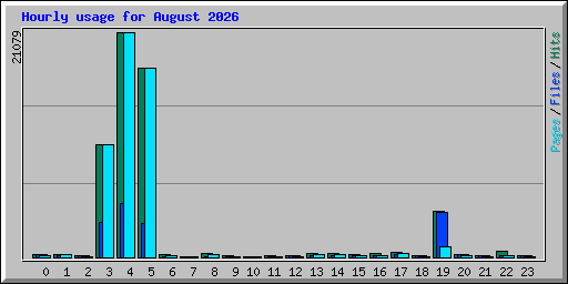 Hourly usage for August 2026